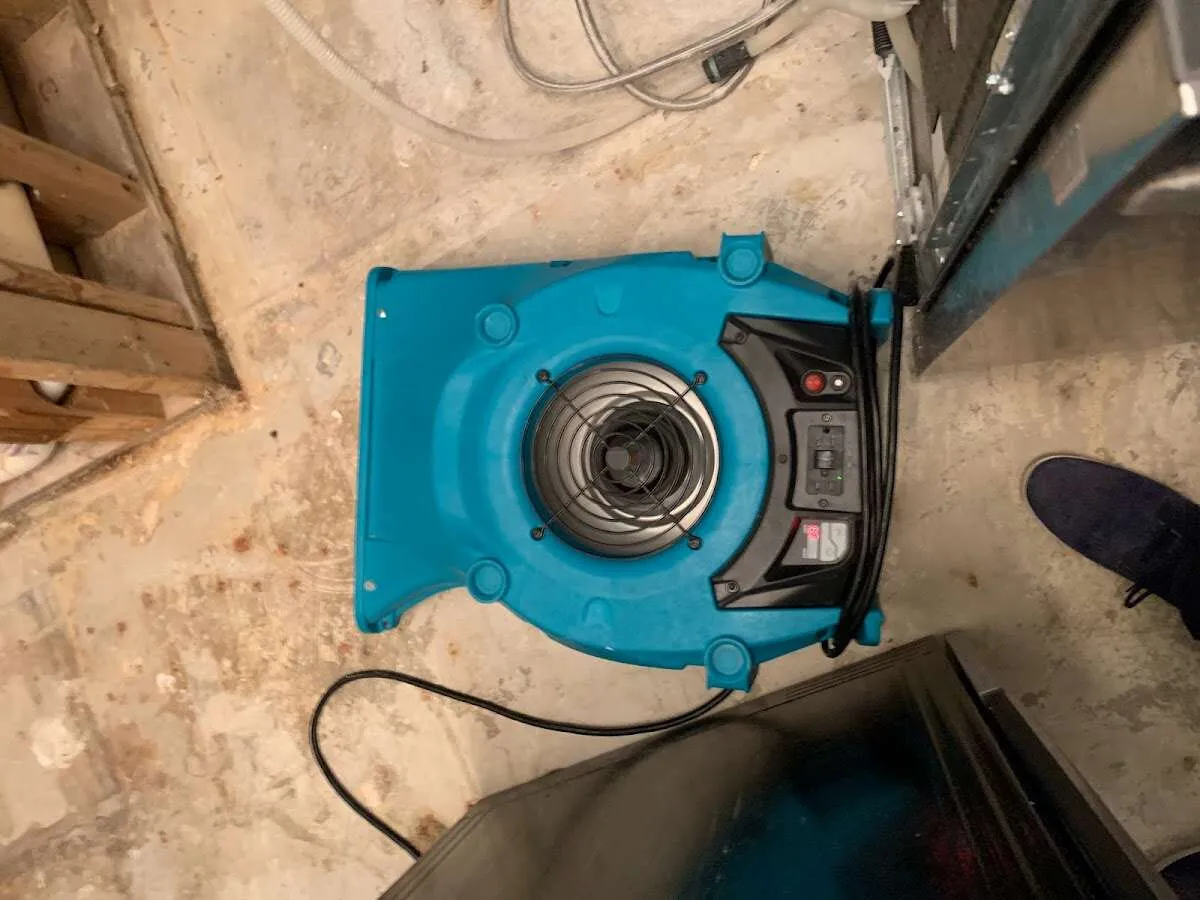 Air mover drying equipment for Mold Remediation & Removal in Bridgeview