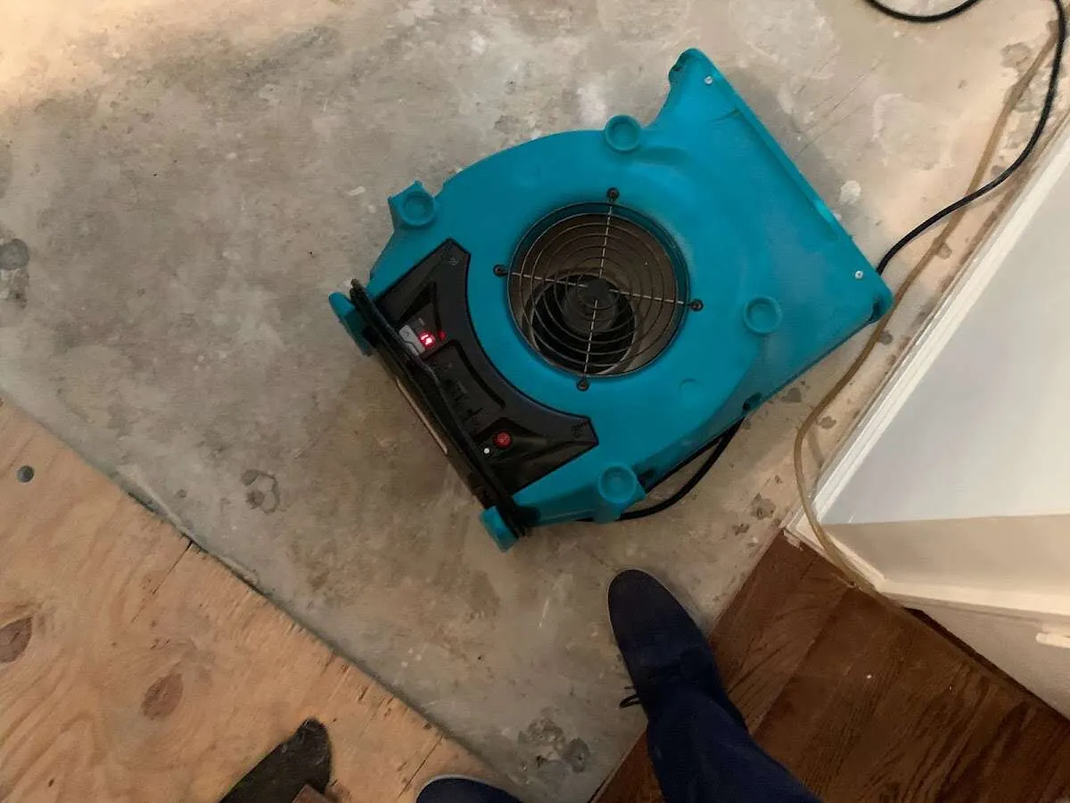 Air mover drying subfloor during Leak Detection & Repair in Bridgeview